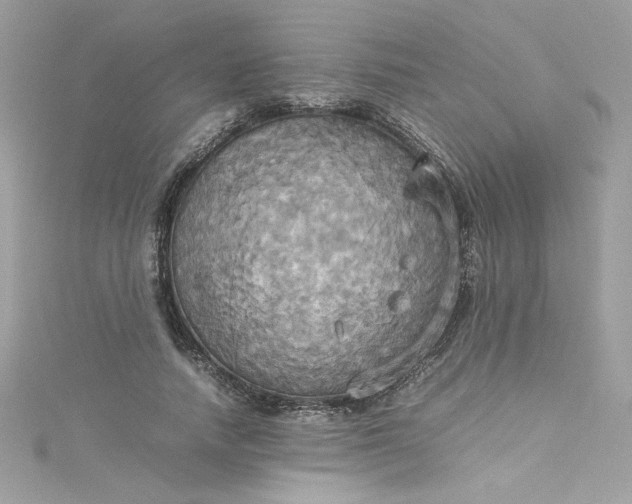 X0000115560738200911201822