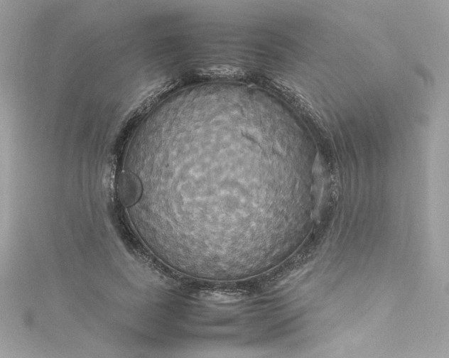 X0000115560739200911201822