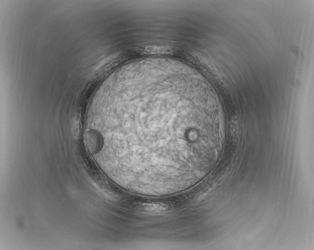 X0000115560741200911201822