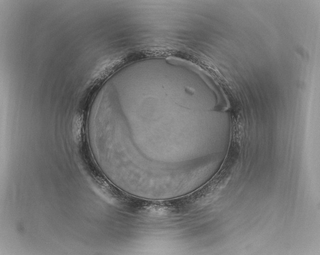 X0000115560742200911201822