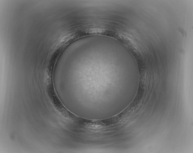 X0000115560743200911201822