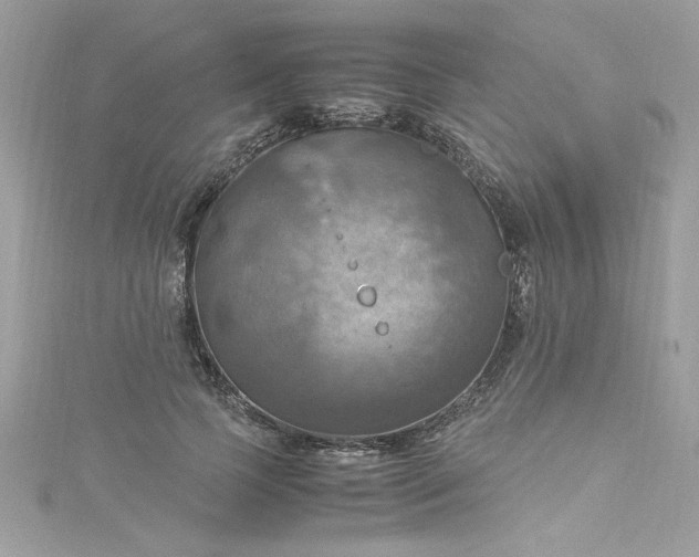 X0000115560745200911201822