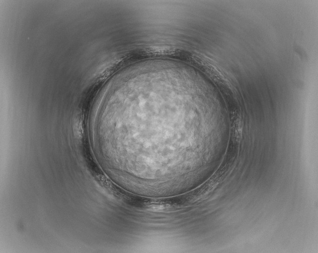 X0000115560746200911201822