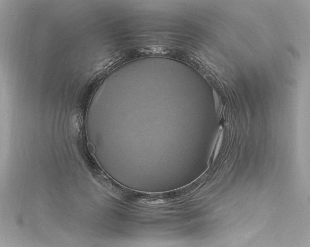 X0000115560747200911201822