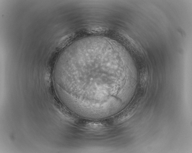 X0000115560749200911201822