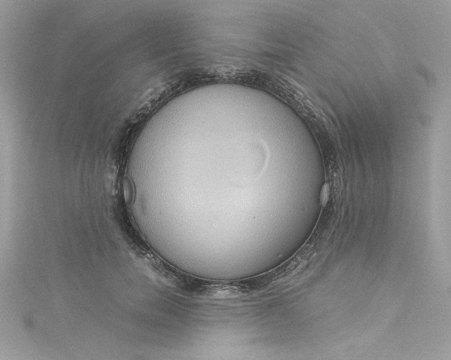 X0000115560750200911201822