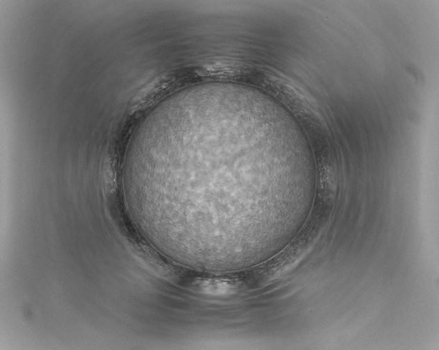 X0000115560751200911201822