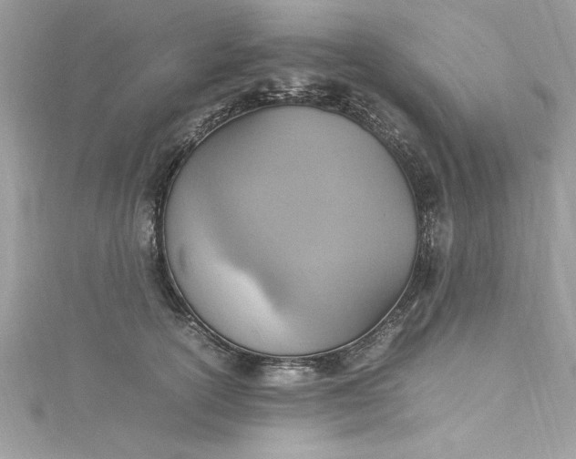 X0000115560754200911201822