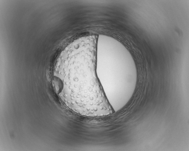 X0000115560755200911201822