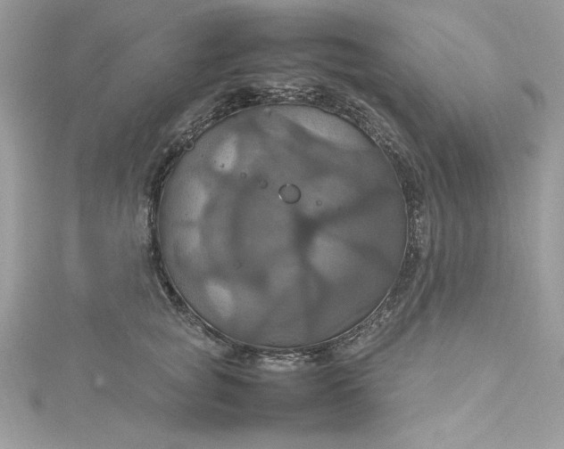 X0000115560757200911201822