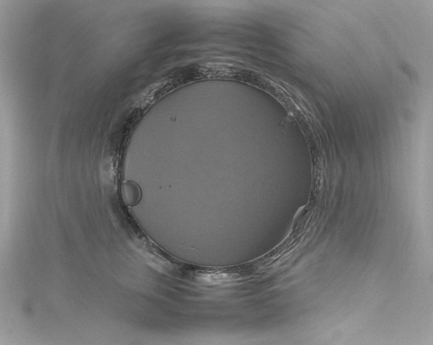 X0000115560759200911201822