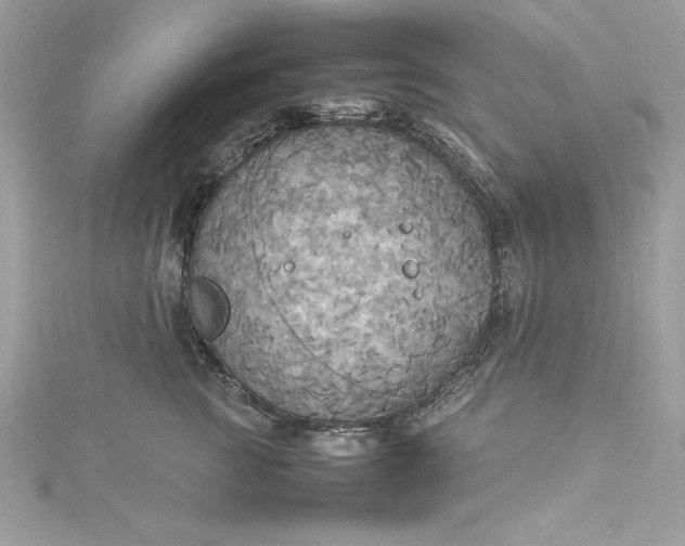 X0000115560761200911201822