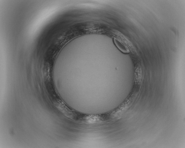 X0000115560762200911201822