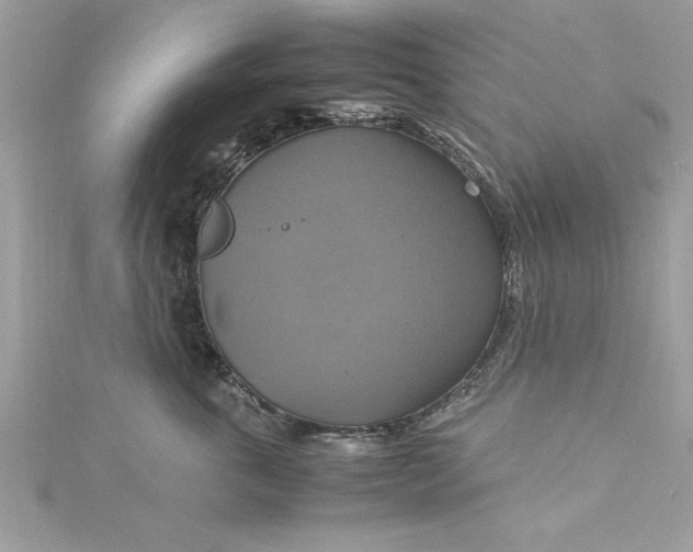 X0000115560763200911201822