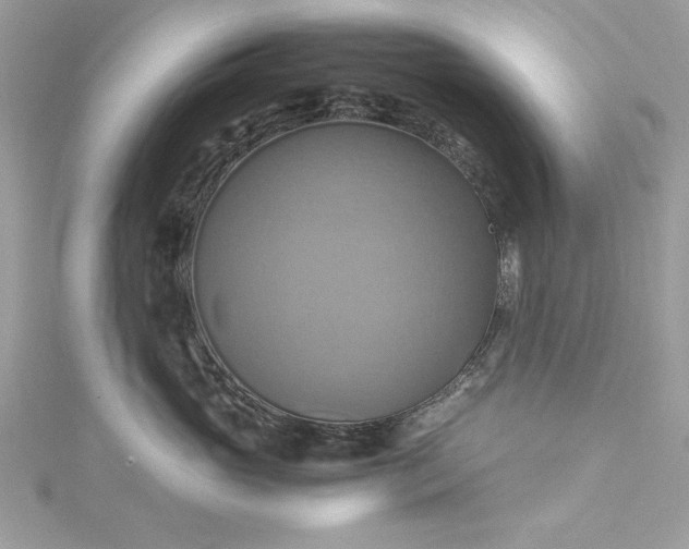 X0000115560765200911201822