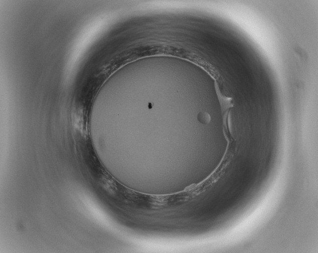 X0000115560766200911201822