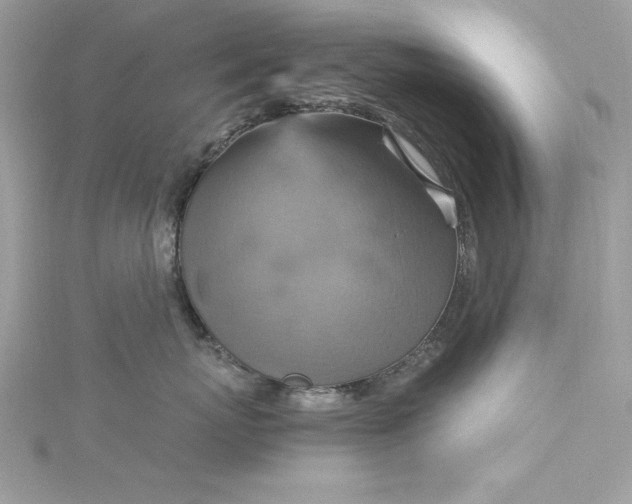 X0000115560767200911201822