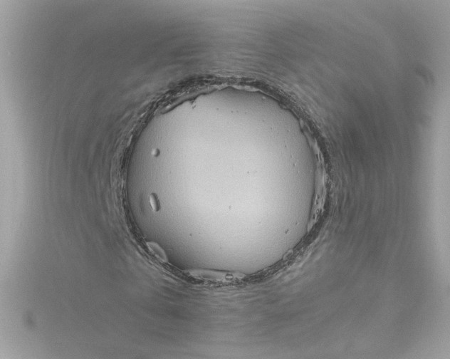 X0000115560769200911201822