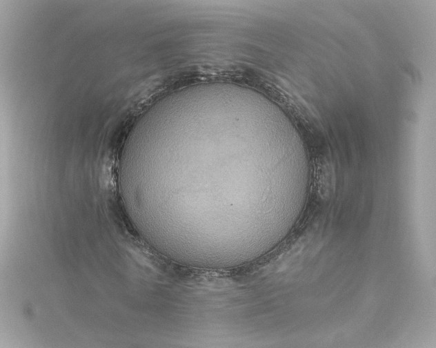 X0000115560770200911201822