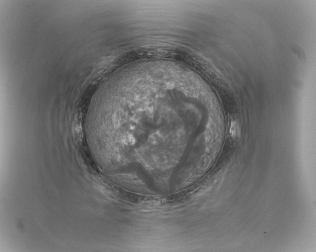 X0000115560771200911201822