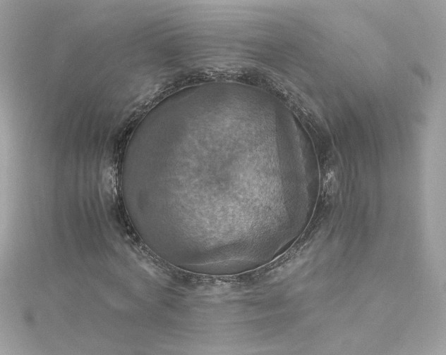 X0000115560772200911201822