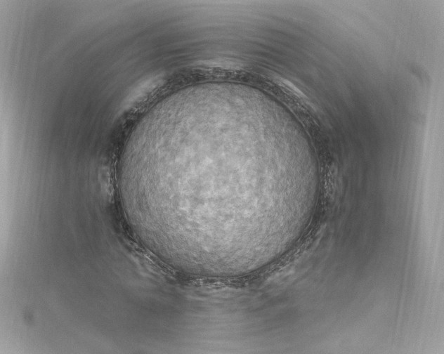 X0000115560774200911201822