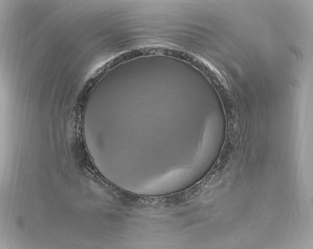 X0000115560775200911201822