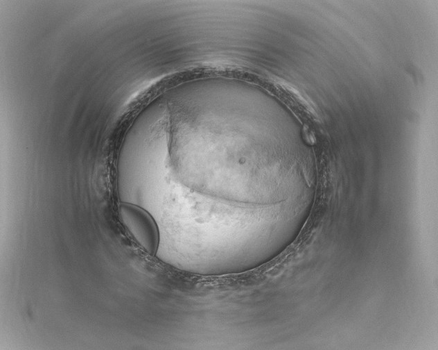 X0000115560776200911201822