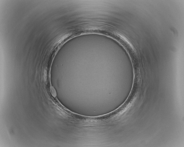 X0000115560777200911201822