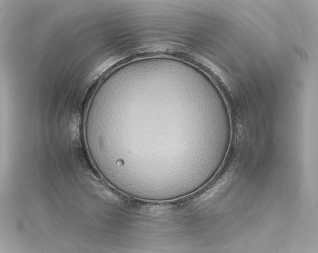 X0000115560778200911201822