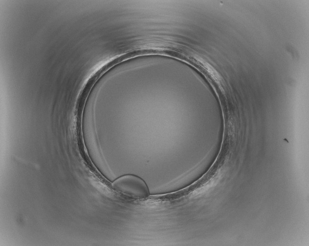 X0000115560779200911201822