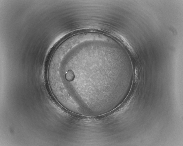 X0000115560780200911201822