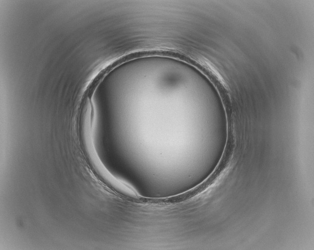 X0000115560781200911201822