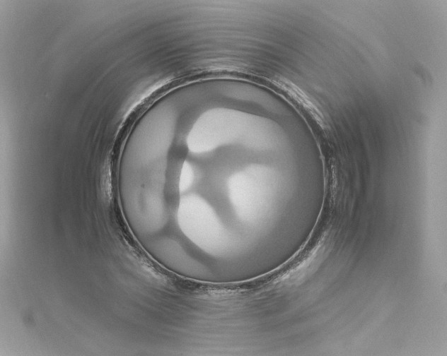 X0000115560782200911201821