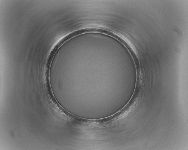 X0000115560783200911201821