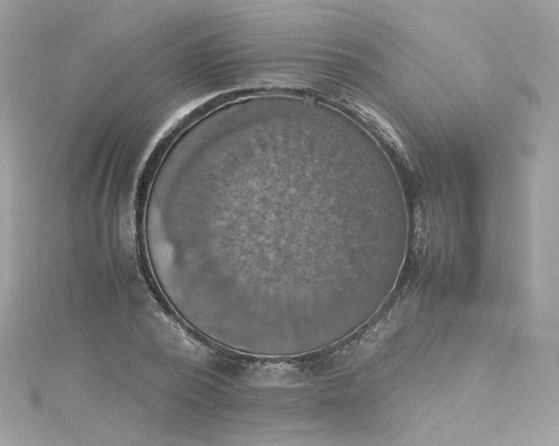 X0000115560784200911201821