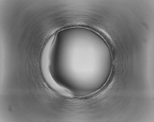 X0000115560785200911201821