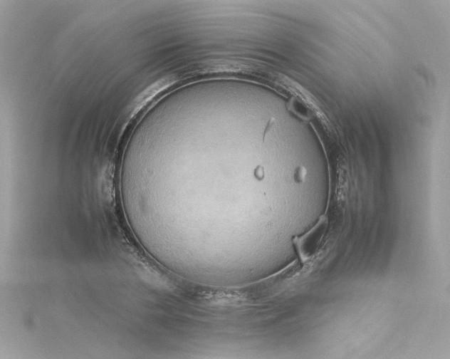 X0000115560786200911201821