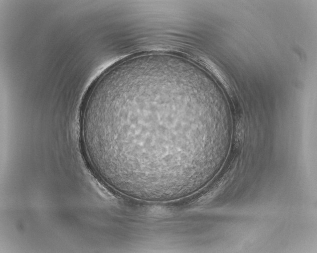 X0000115560787200911201821