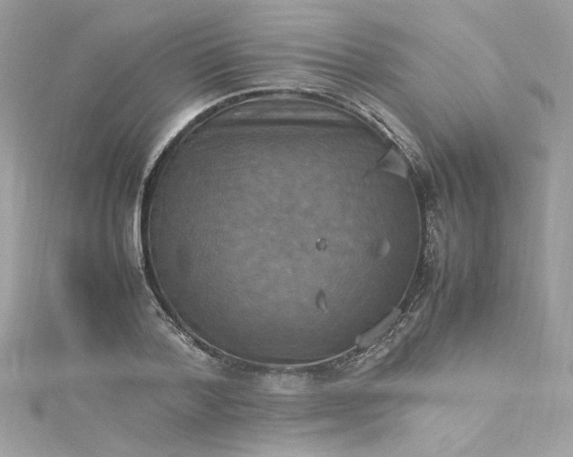 X0000115560788200911201821