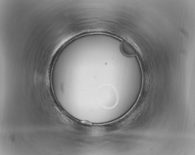 X0000115560789200911201821