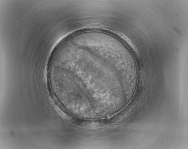 X0000115560791200911201821