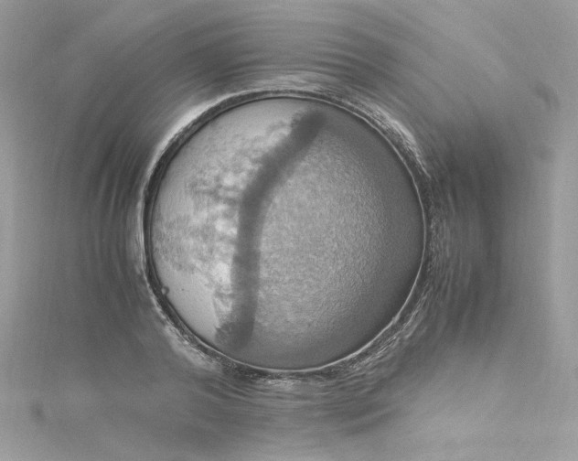 X0000115560792200911201821