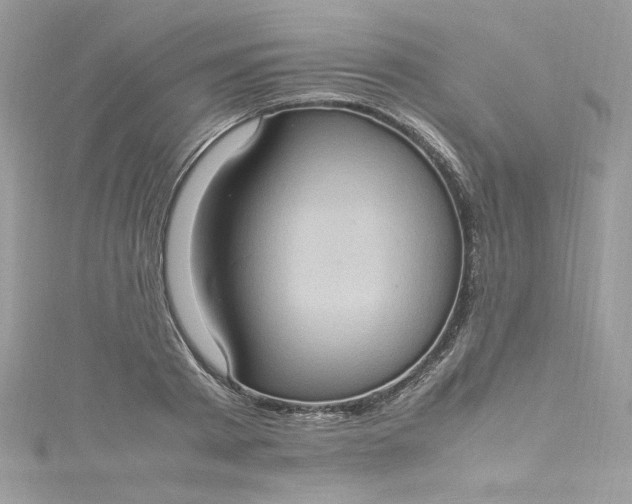 X0000115560793200911201821