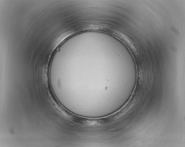 X0000115560794200911201821