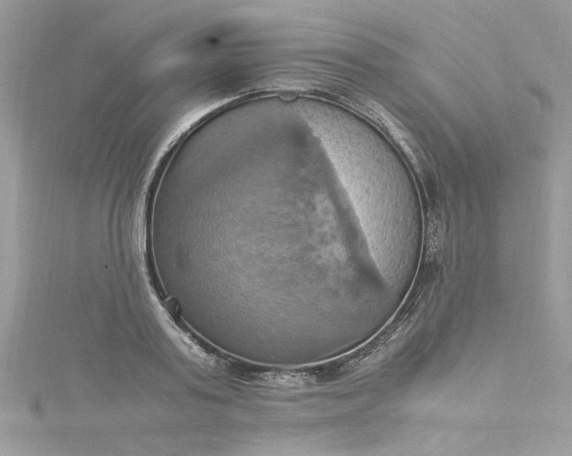 X0000115560795200911201821