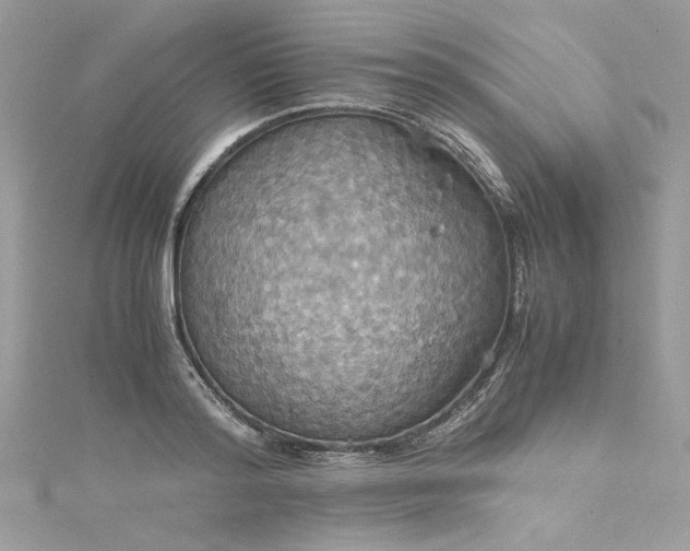 X0000115560796200911201821