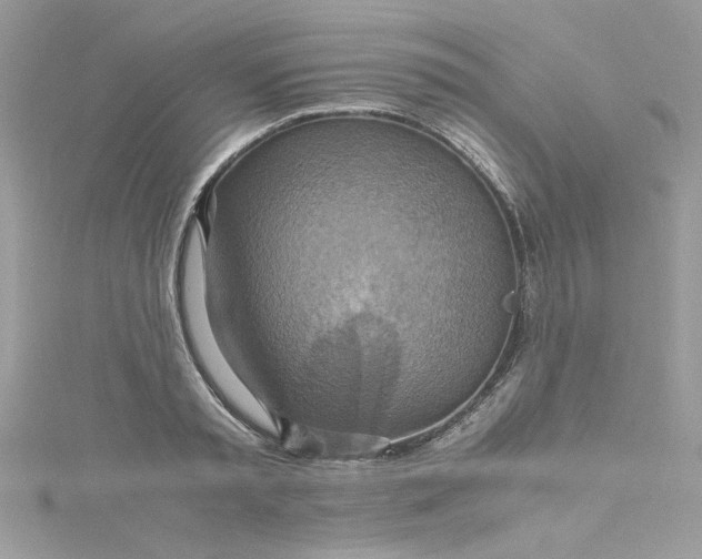 X0000115560797200911201821