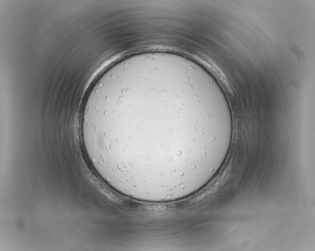 X0000115560798200911201821