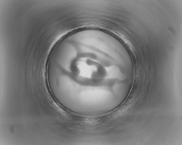 X0000115560799200911201821